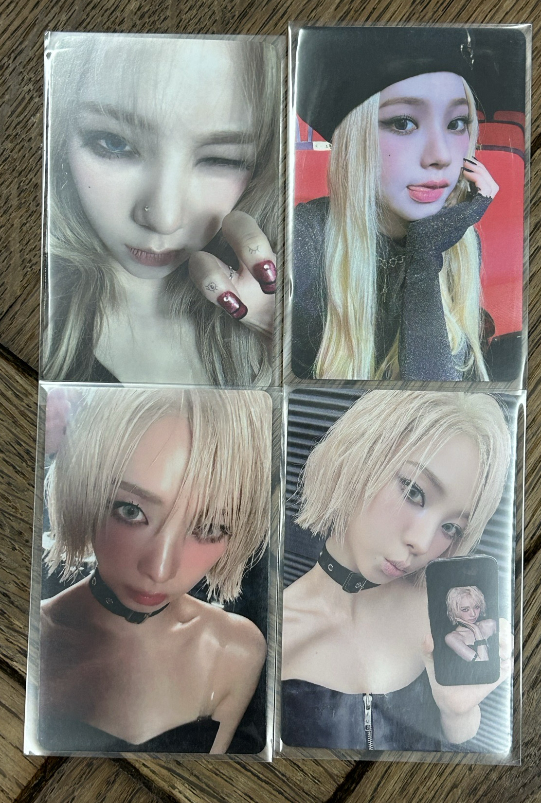 金髮柚小盤（兩張中背）