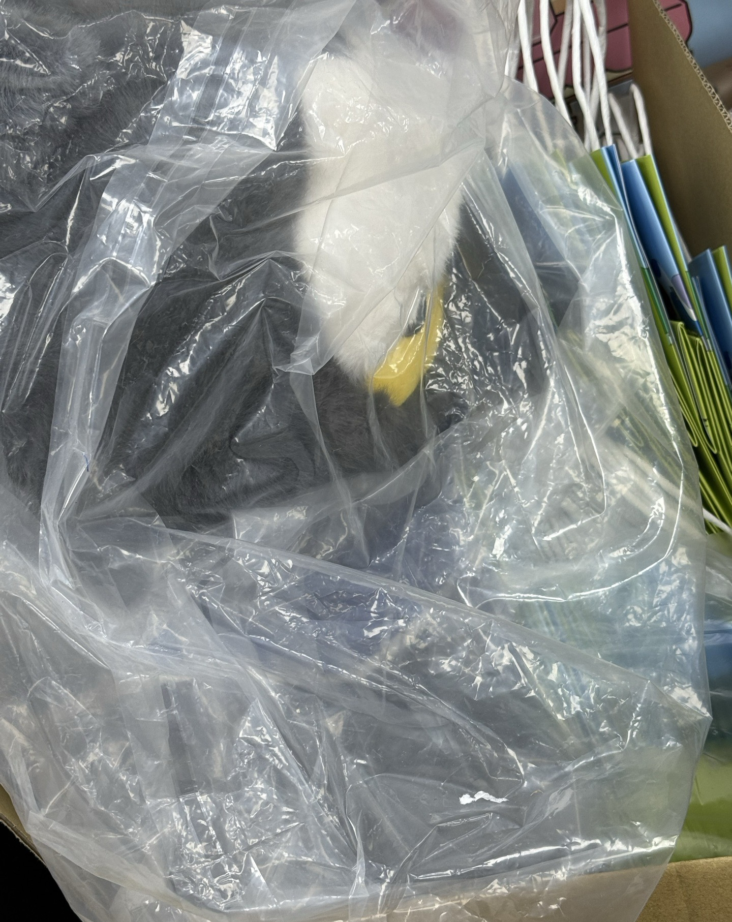 ZOA 大娃 第一代 藍色圍巾 全新未拆