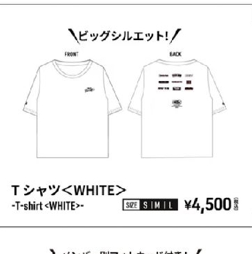 twice新國立白踢