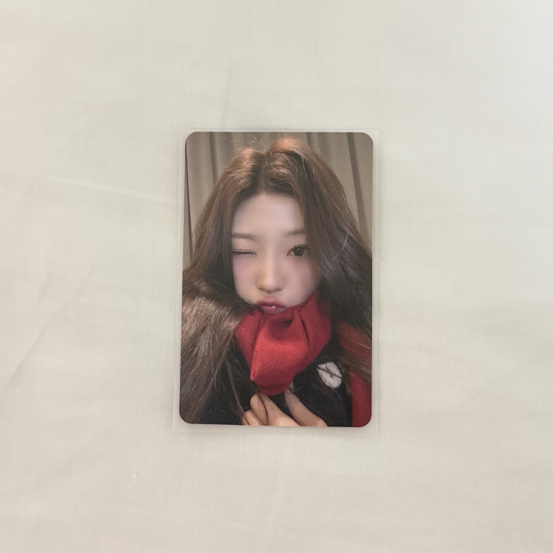 迷一 Focus am2.0 幸運卡 Stella