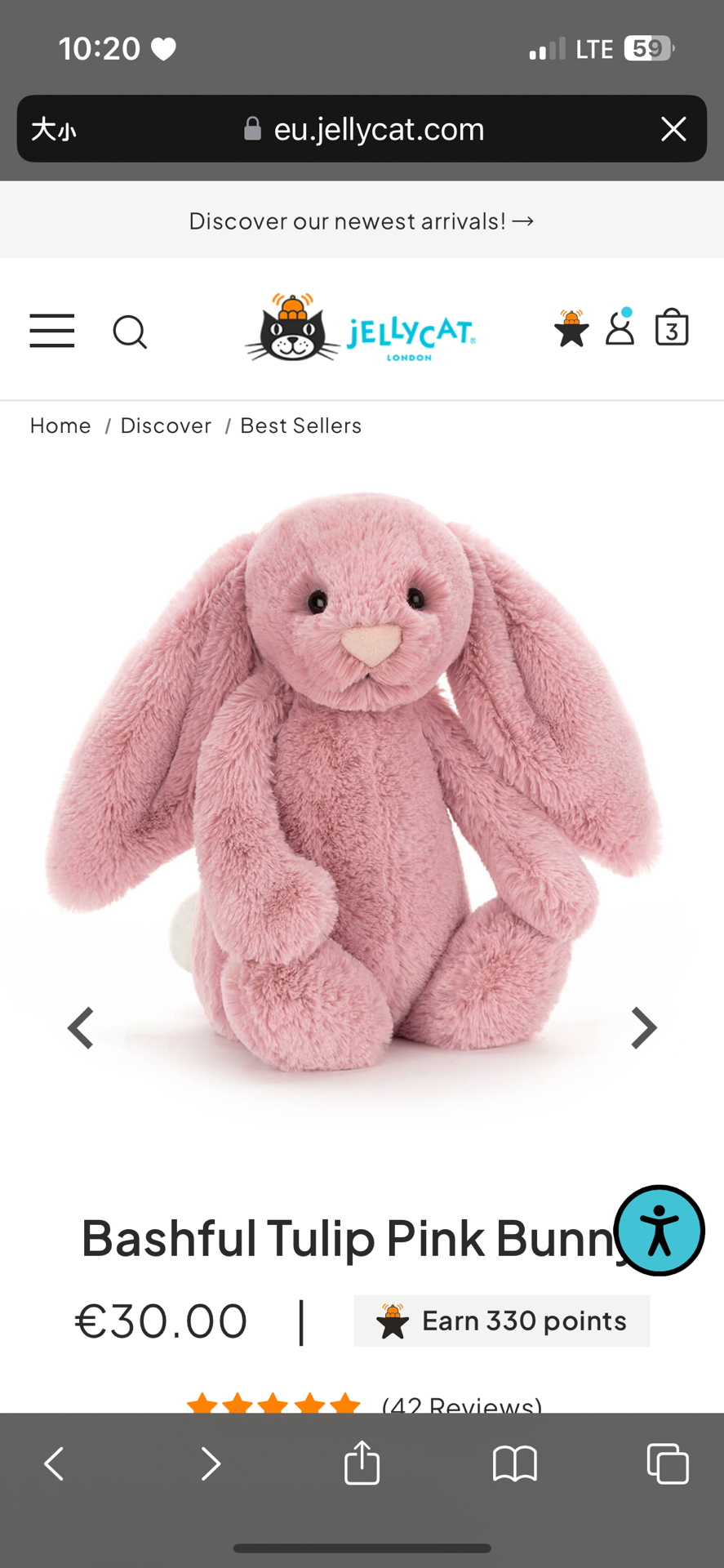 🤍預購 鬱金香粉兔兔