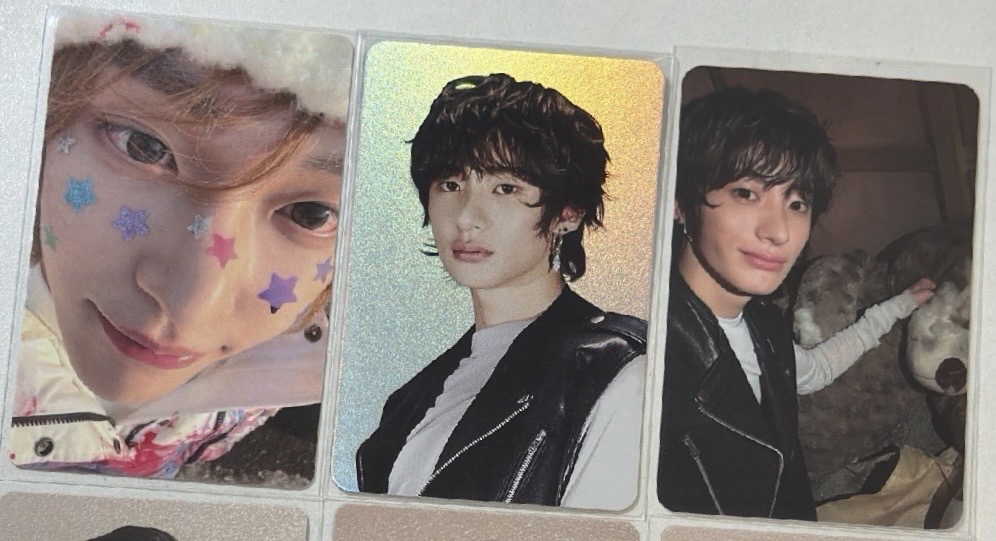 🖤東蛋彬小盤 含圖鑑