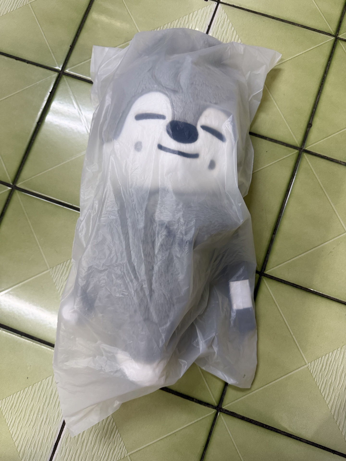 安可場周邊-側背包