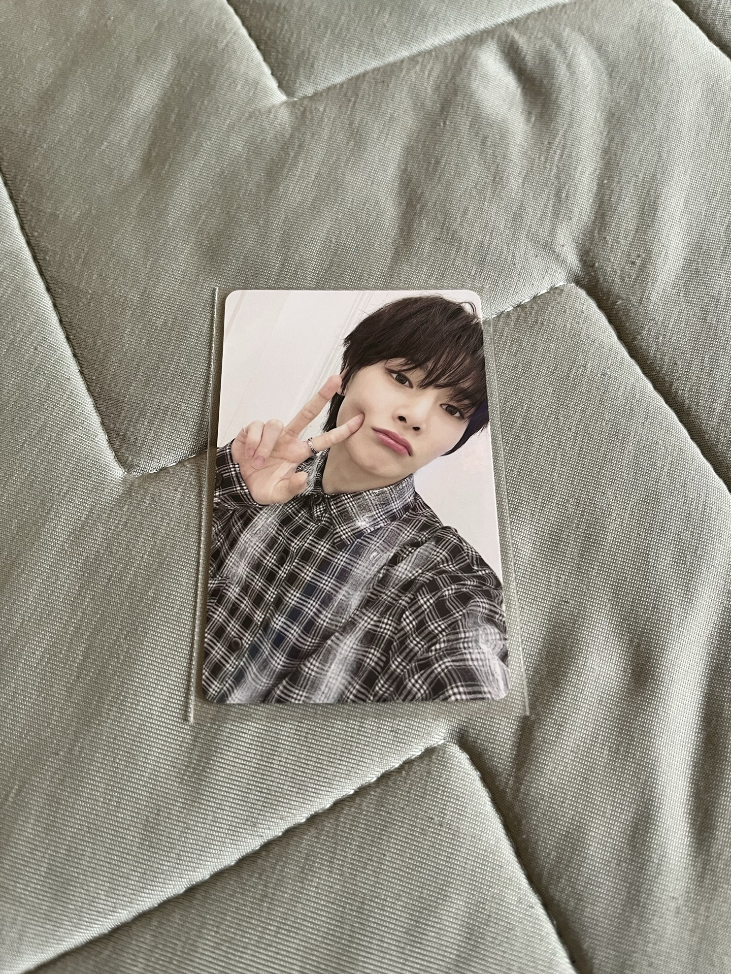 羊晶瑩麵包店會員卡(｡◝‿◜｡)