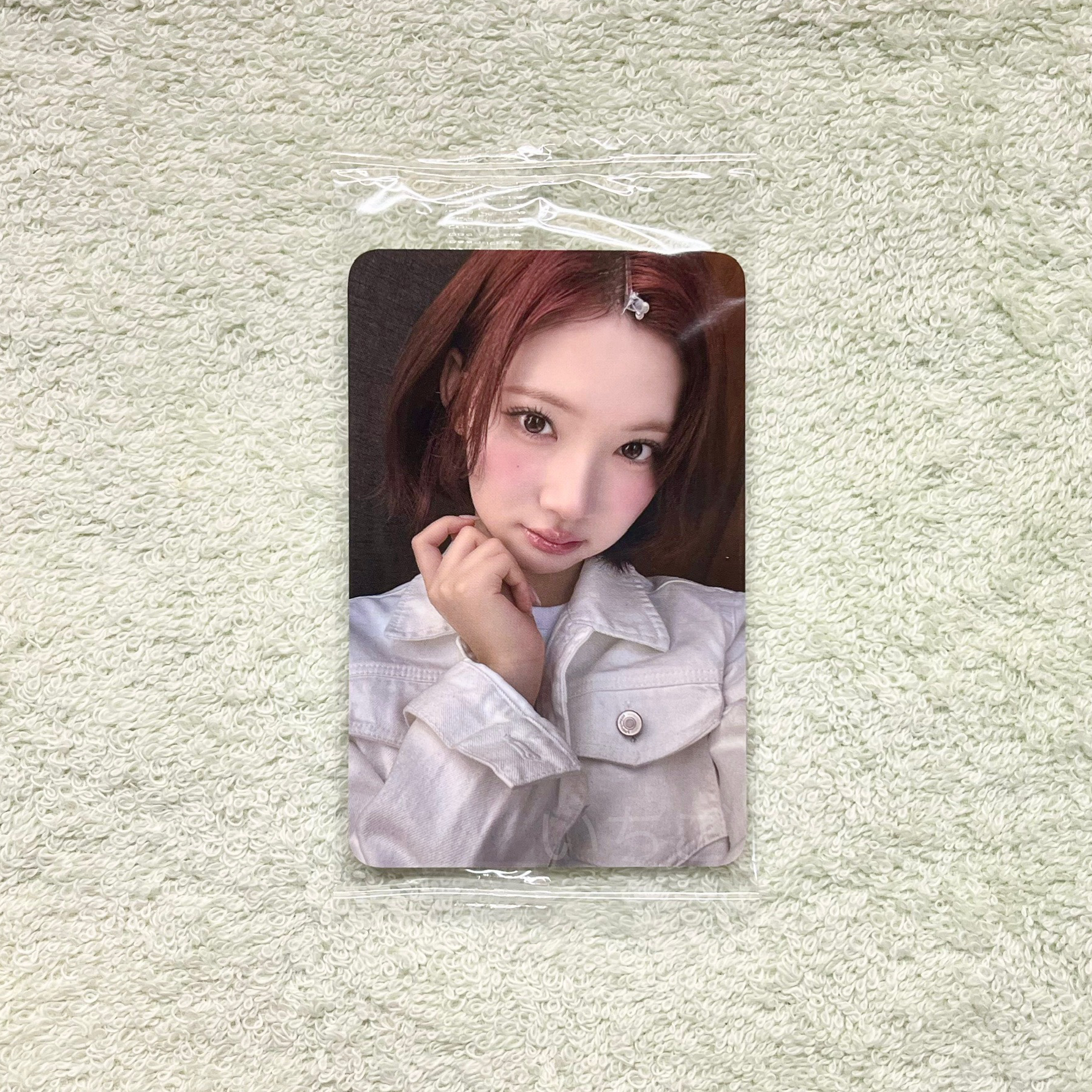 Jiwoo🍓FOCUS K4 LA簽售特典