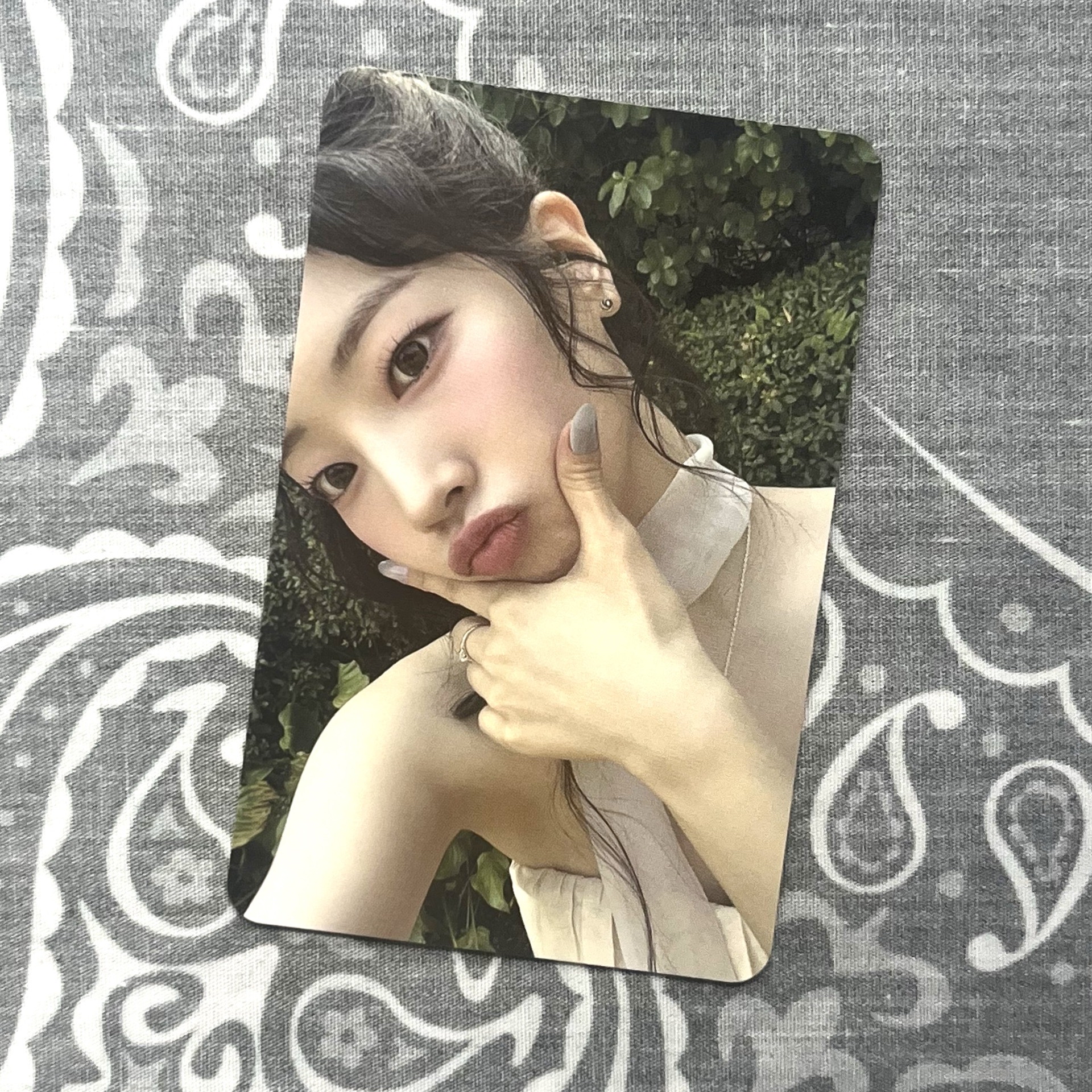 豆 迷13 專輯卡 ver.PB