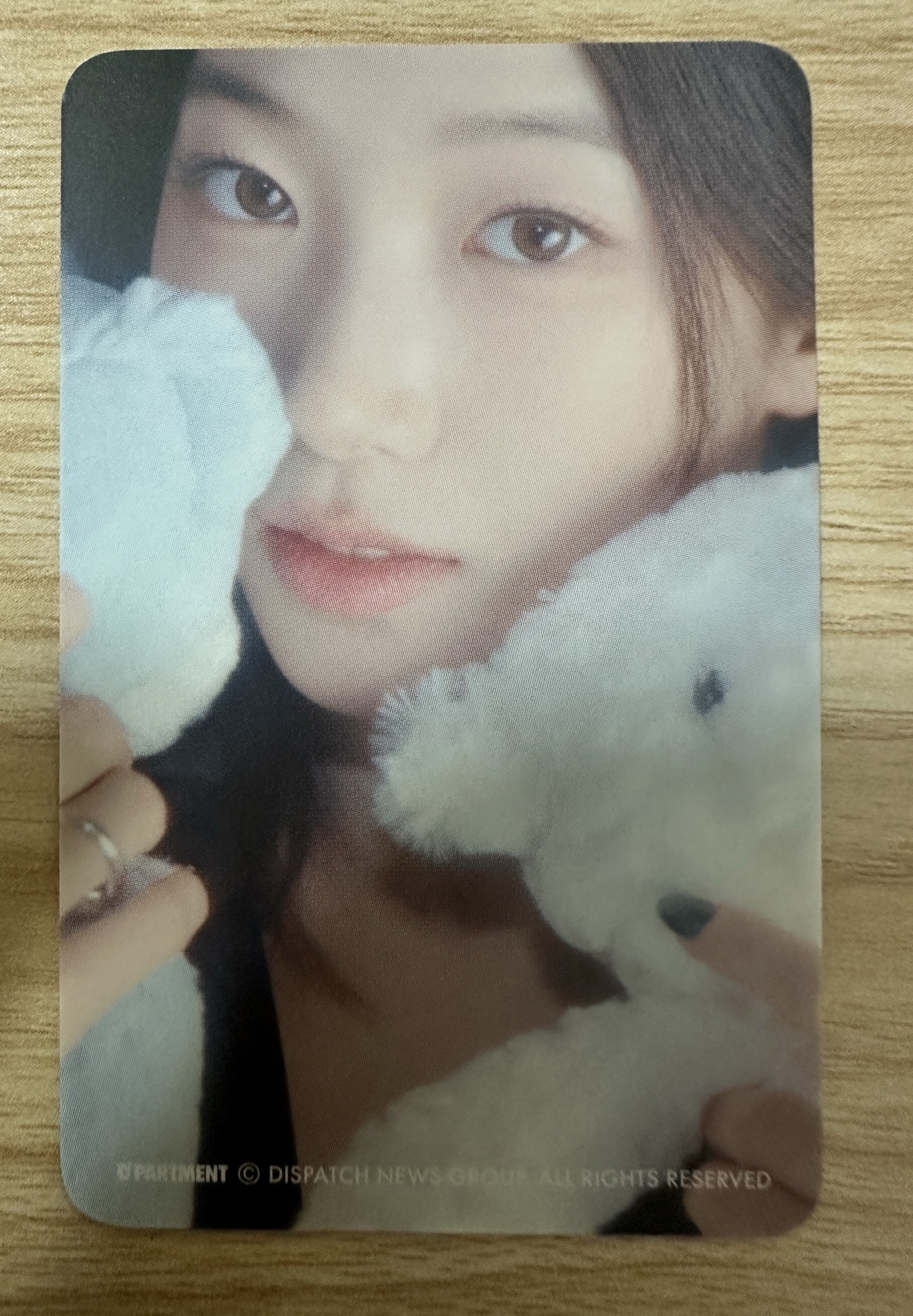 Dicon 日本快閃店隨機卡包小卡