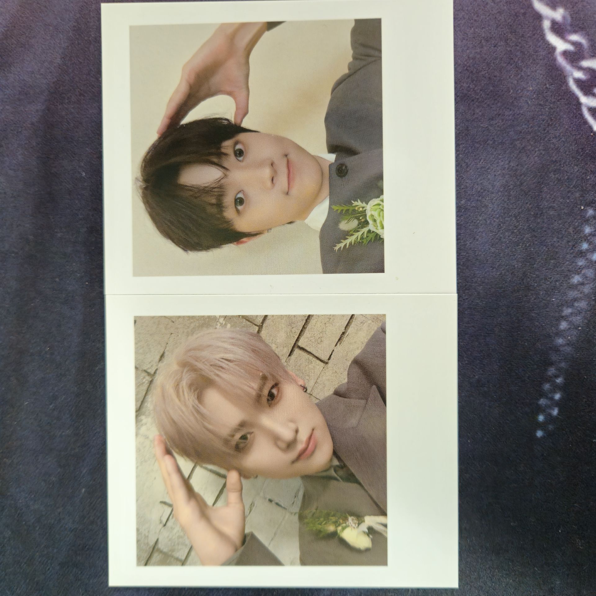 EJ+Yuma 暗月狗耳拍立得