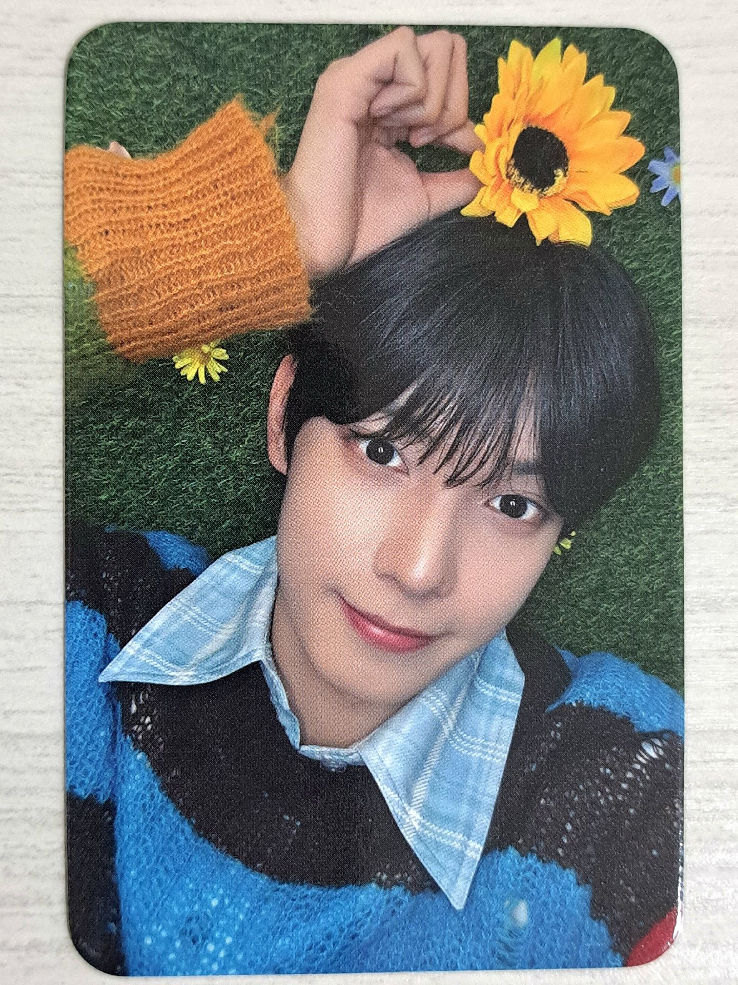 Sweet DREAM 1206音中 打歌卡 立于