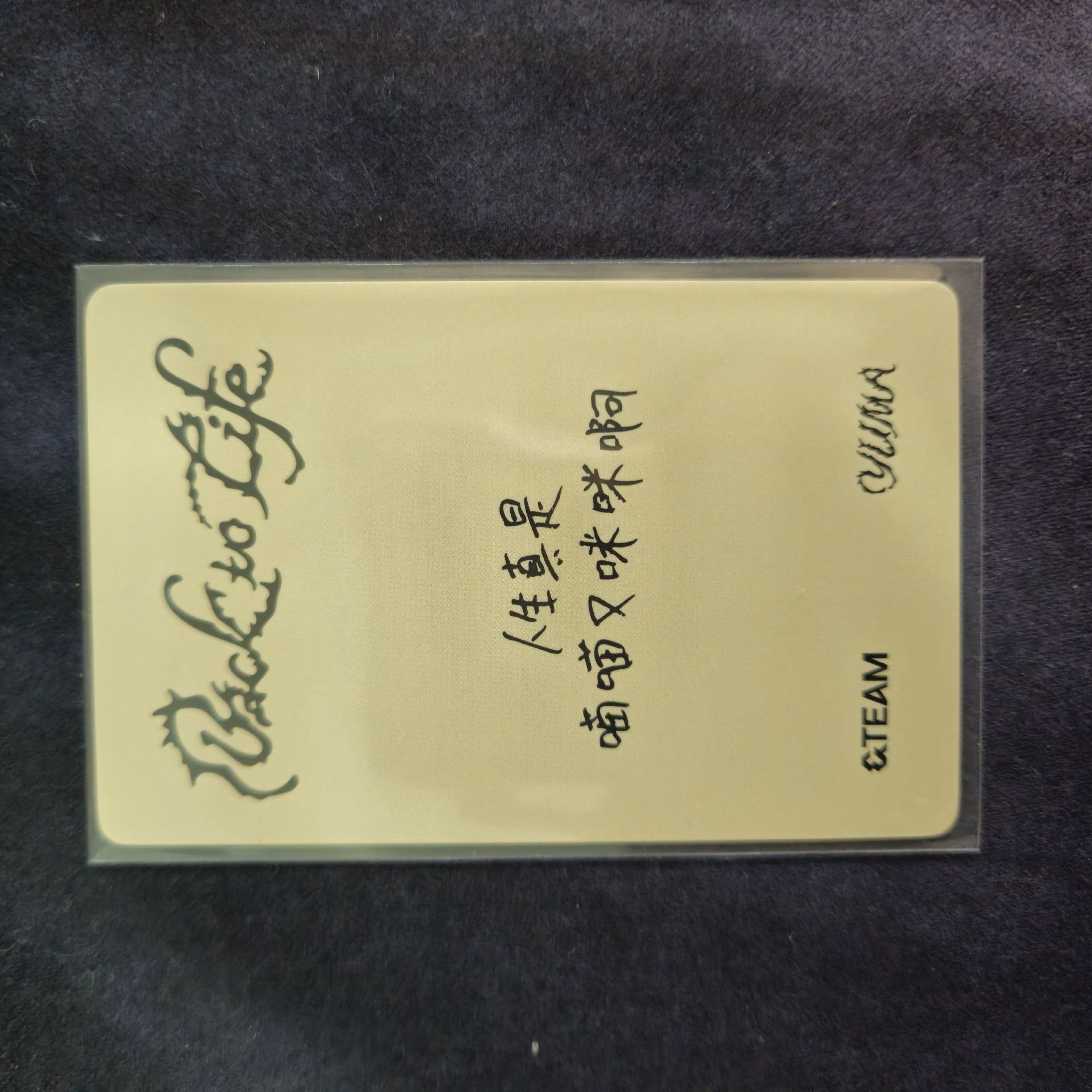 Yuma幸運卡 中背