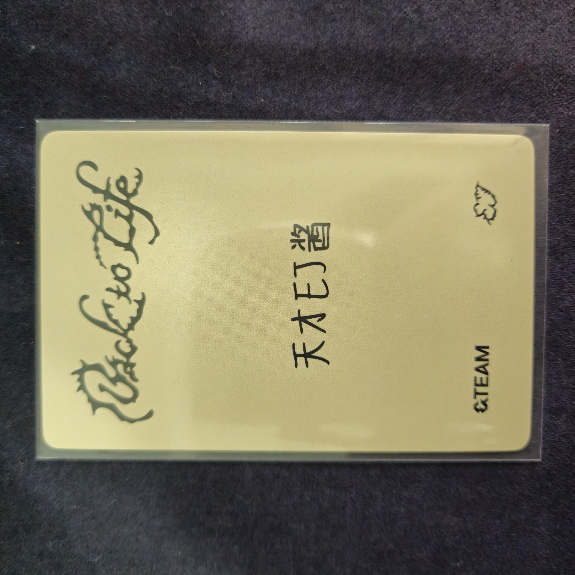 EJ幸運卡中背+BTL未拆單封