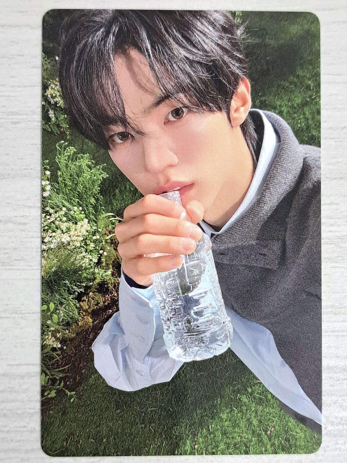 數位單曲 wvs 簽售卡 道勳