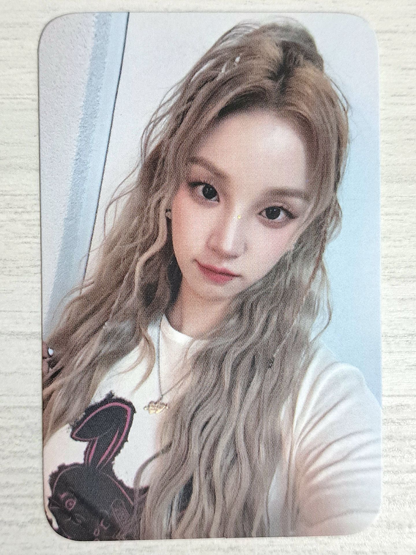 23世巡 入場卡 泰國入場琦