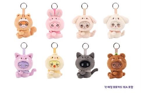 （預購）ANITEEZ IN COLOR 周邊