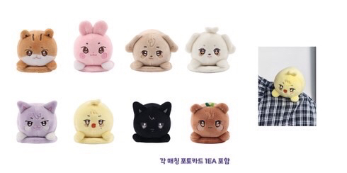 （預購）ANITEEZ IN COLOR 周邊