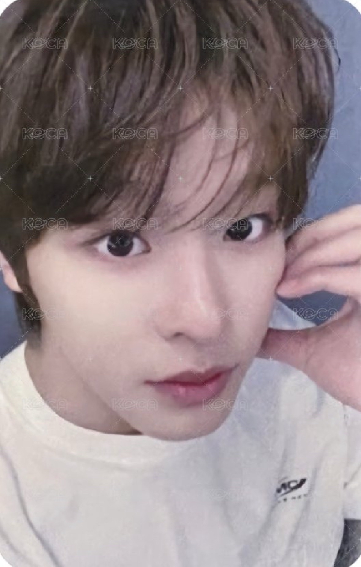 riku sakuya poppop 泡泡摩奇 C 簽售卡 