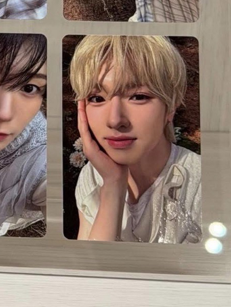 sakuya外套卡 nctwish快閃周邊