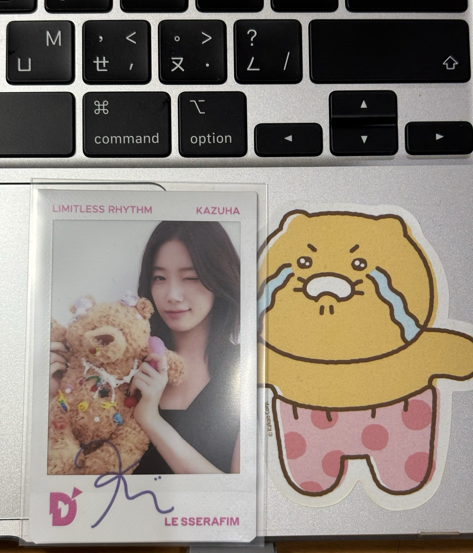 D社快閃 拍立得葉