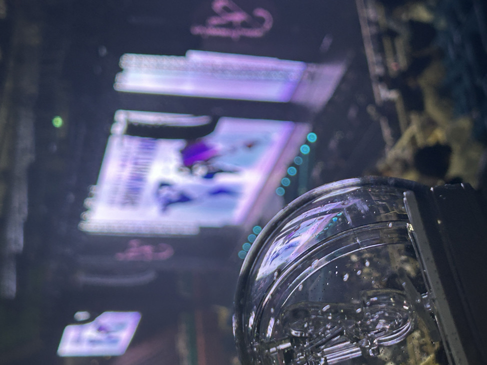 栗子