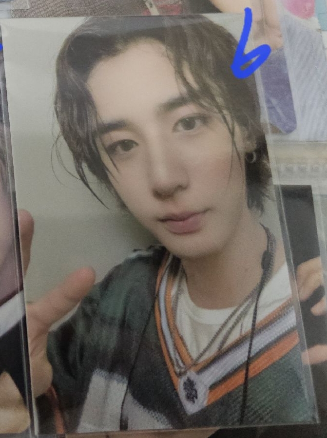 Leehan 6