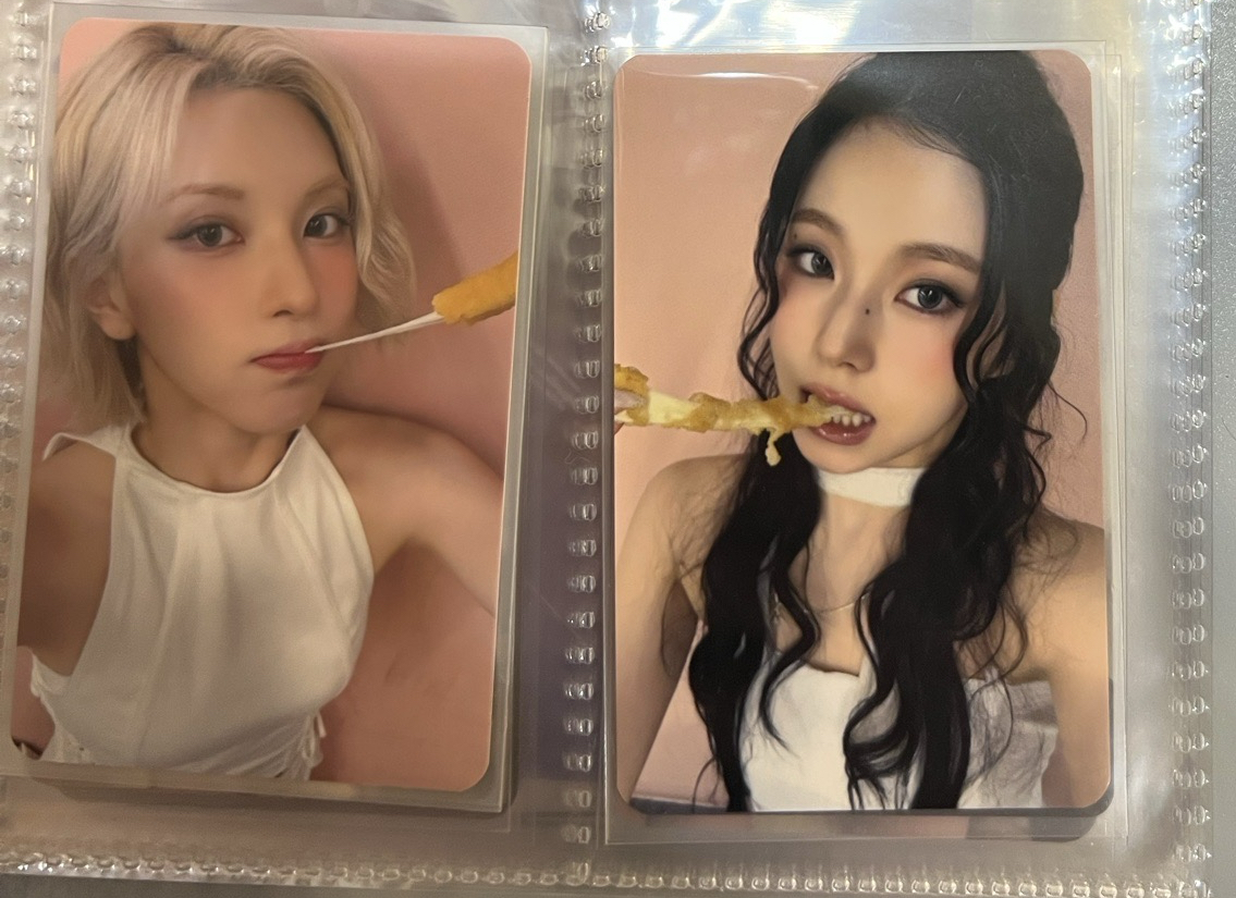 起司條（裴、圭）