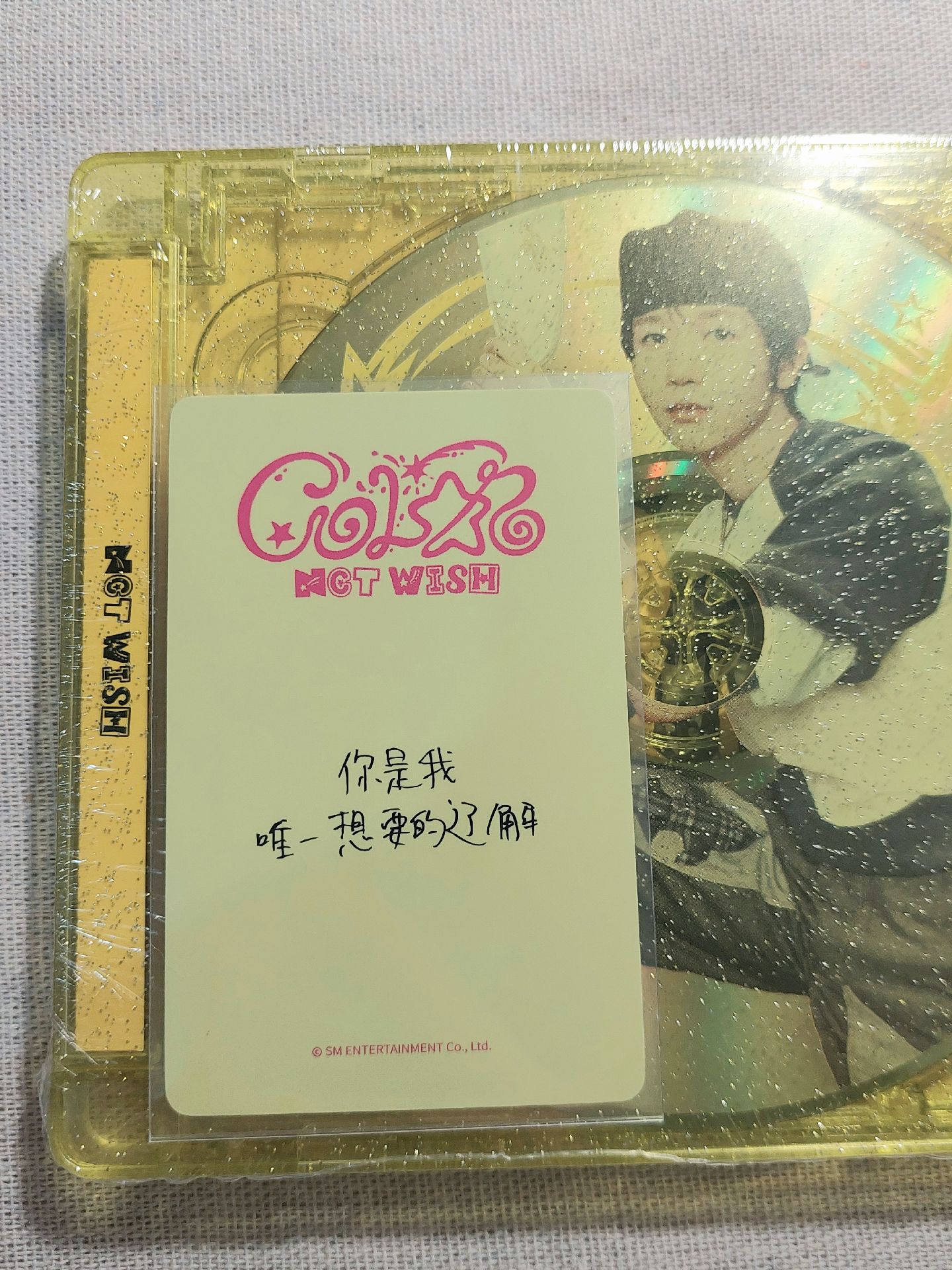 你是我唯一想要的遼解