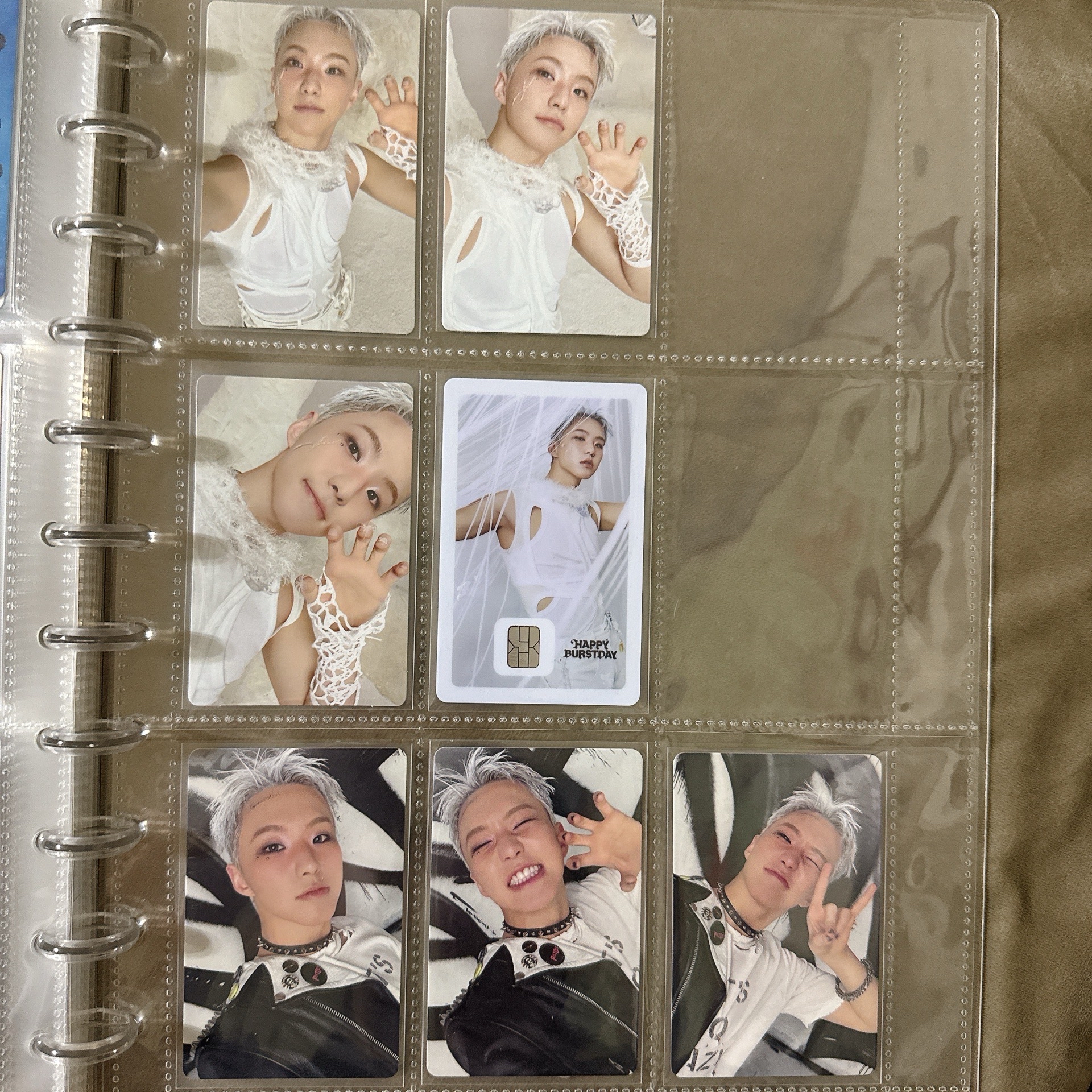 🐯正五+交通卡(7張不拆)