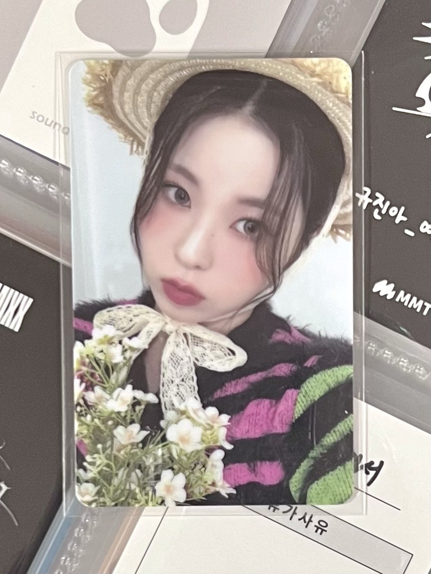 💫 NMIXX 野餐圭