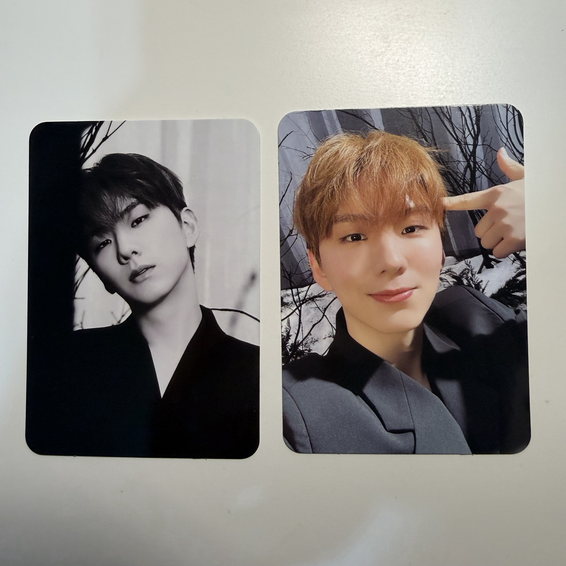 MONSTA X the x 星船特典 🐹🐢🐻