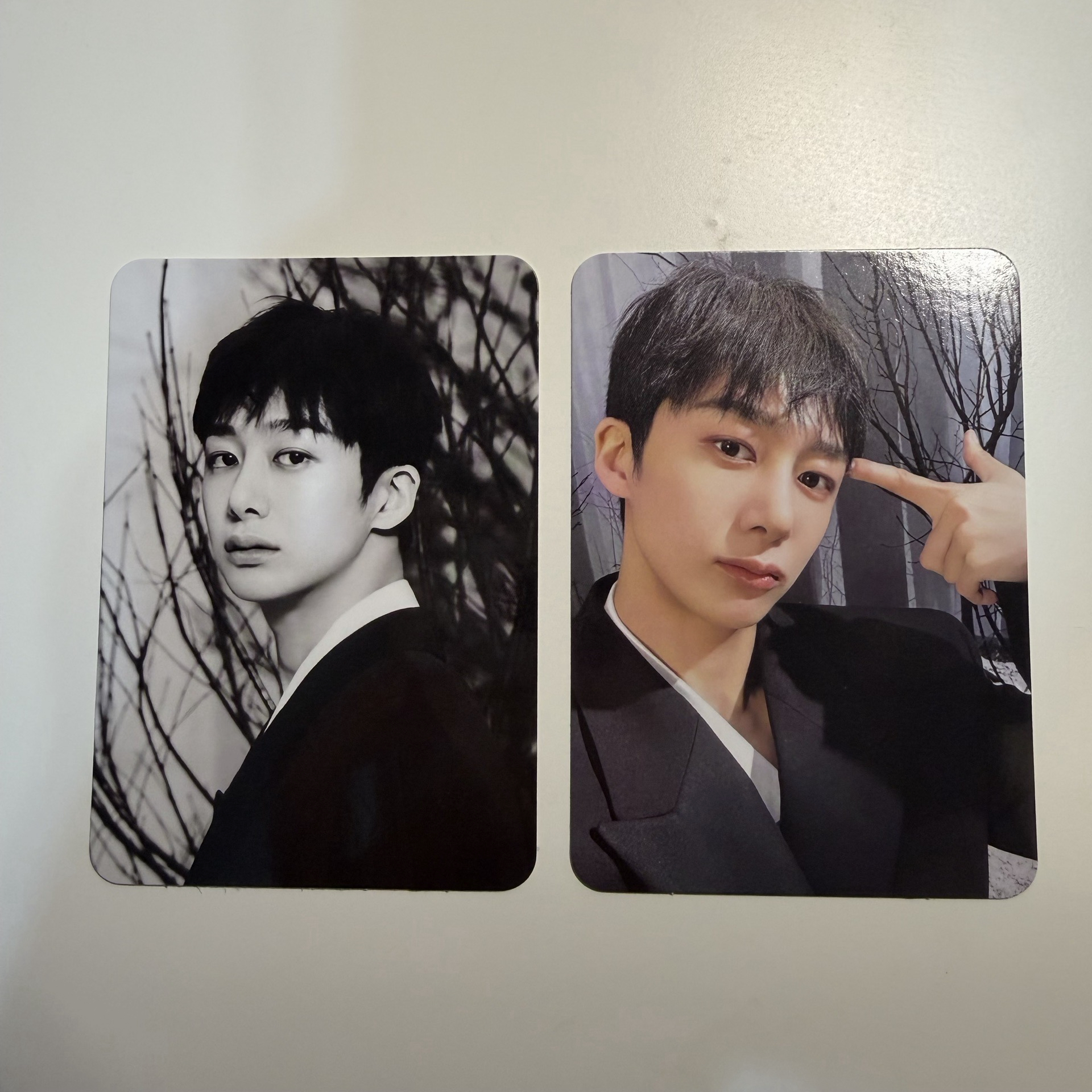 the x 星船特典 🐹🐢🐻