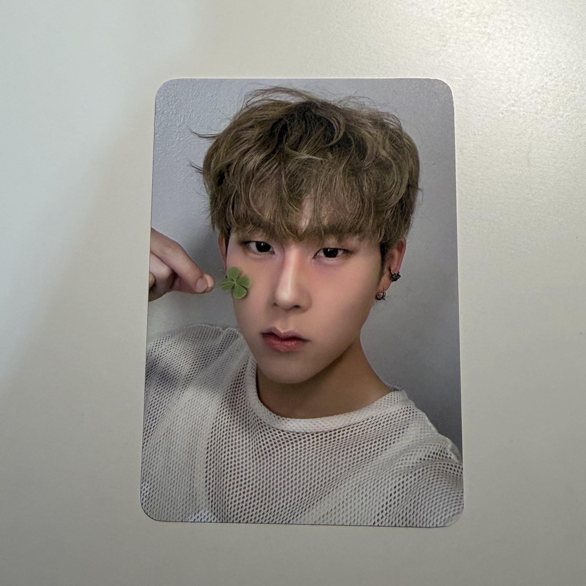 MONSTA X 周憲幸運草小卡🍀