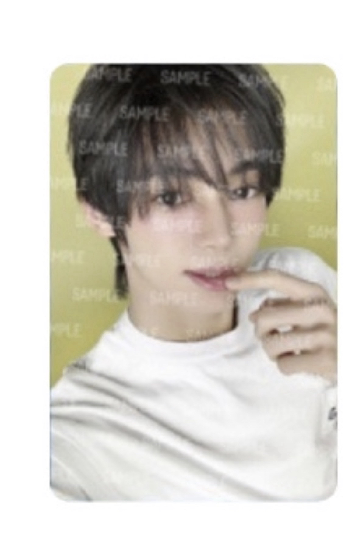 Tws 韓振 日巡 週邊卡（非現）