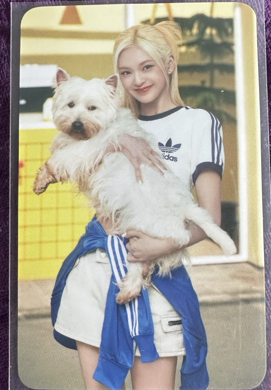 競標 🩵BABYMONSTER CHIQUITA 愛迪達代言卡