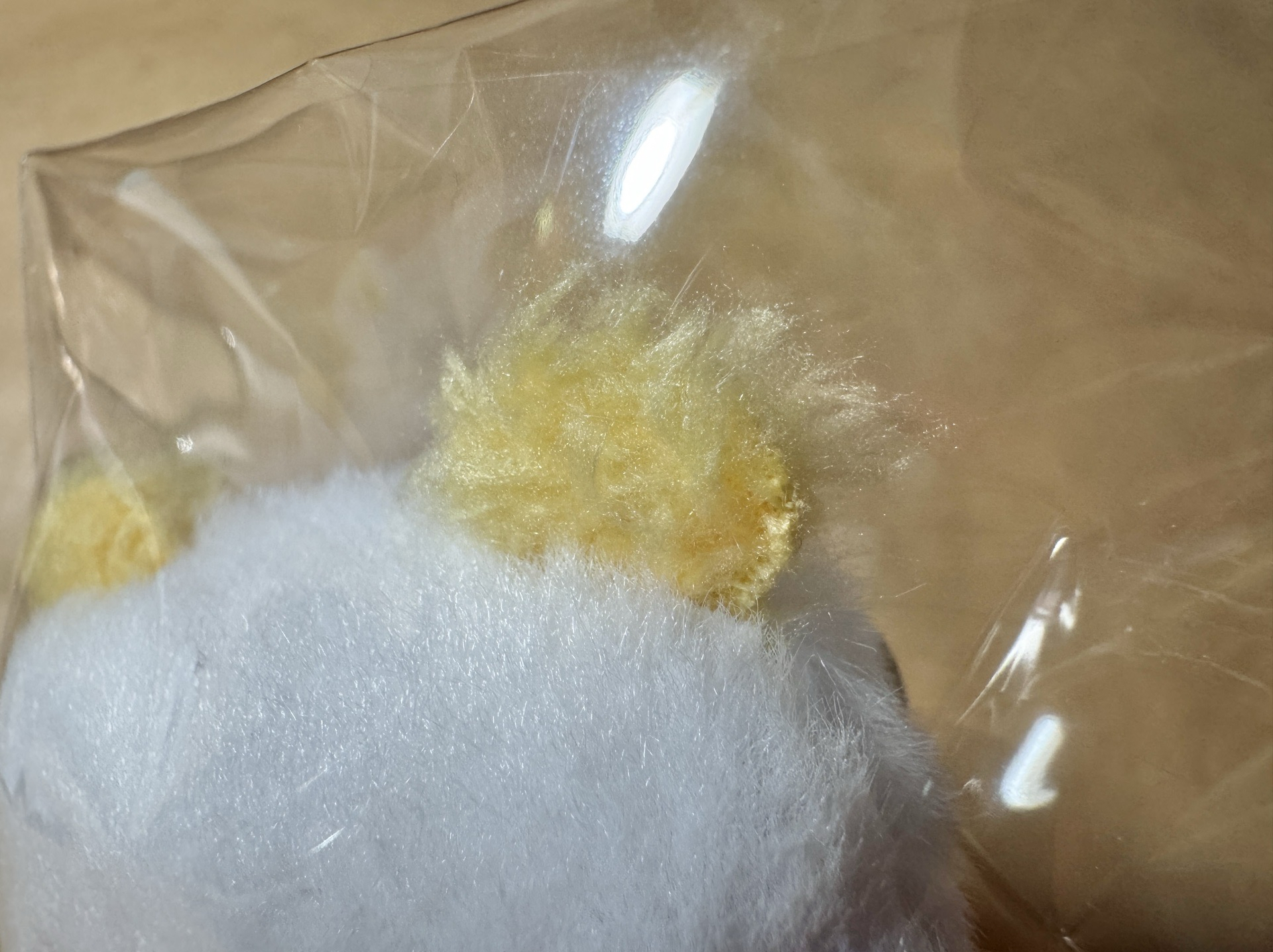 moi徽章