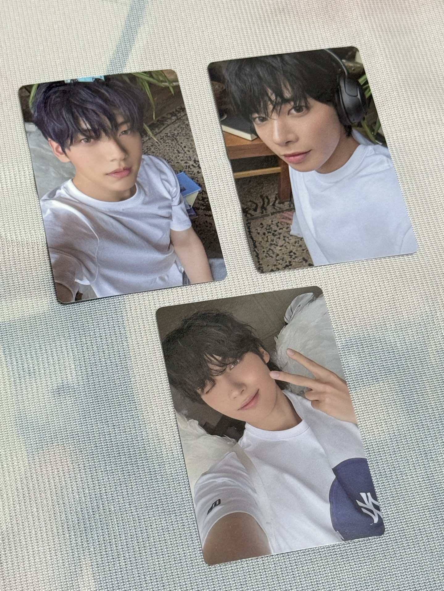 兔巴兔5(整圖售