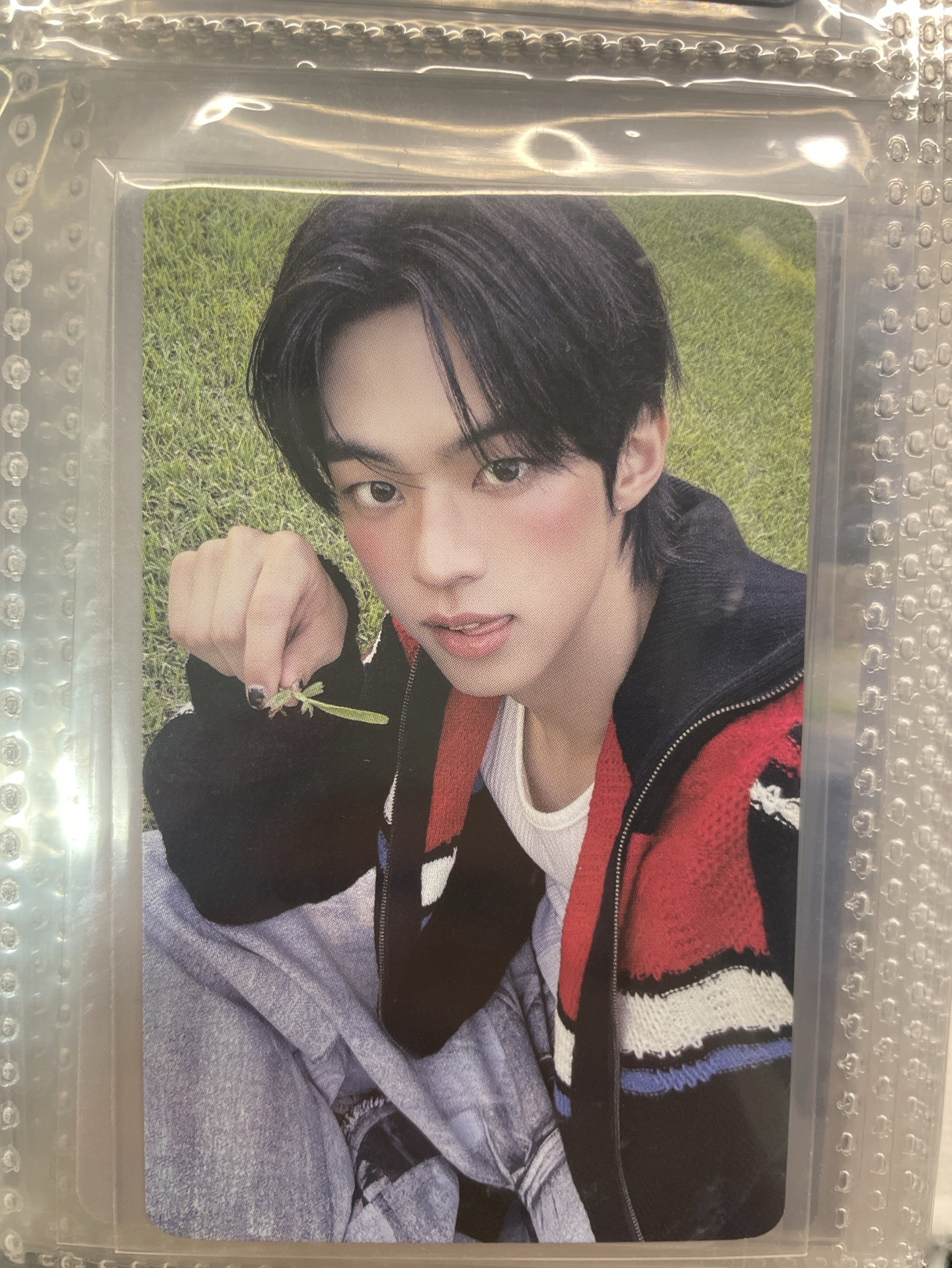 tws道勳拿了個草