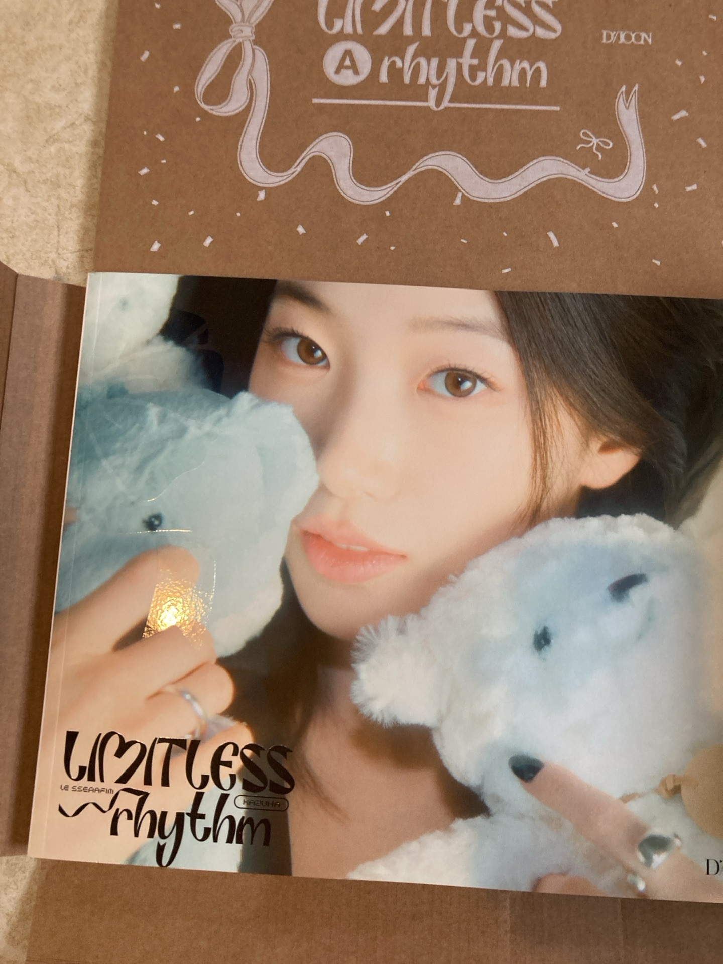 50元起標活動 DICON單寫真 一葉封面