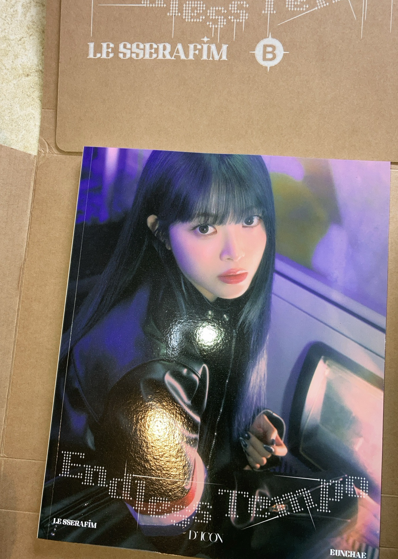 50元起標活動 DICON單寫真 恩採封面