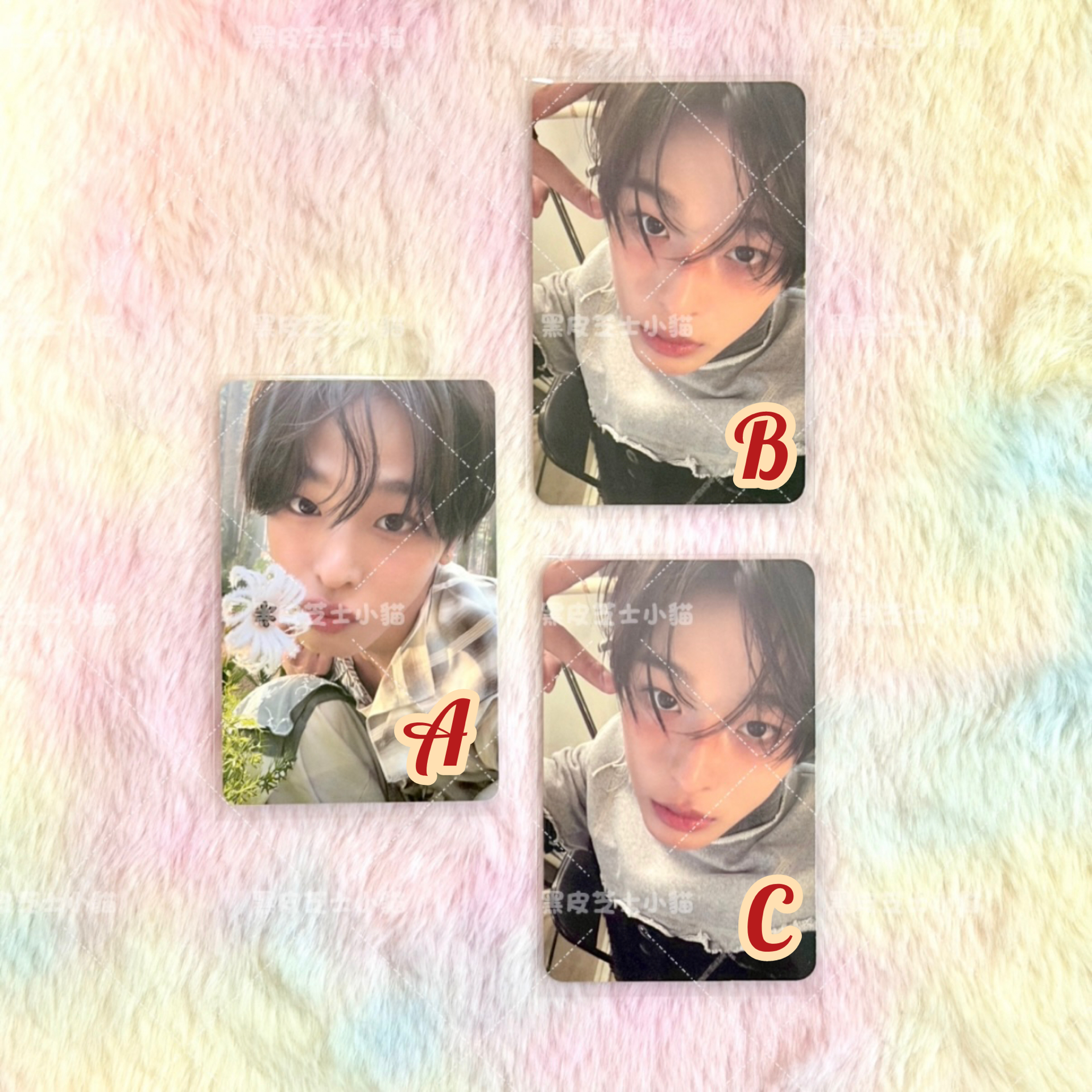 Ode to Love RIKU 專卡【現貨】