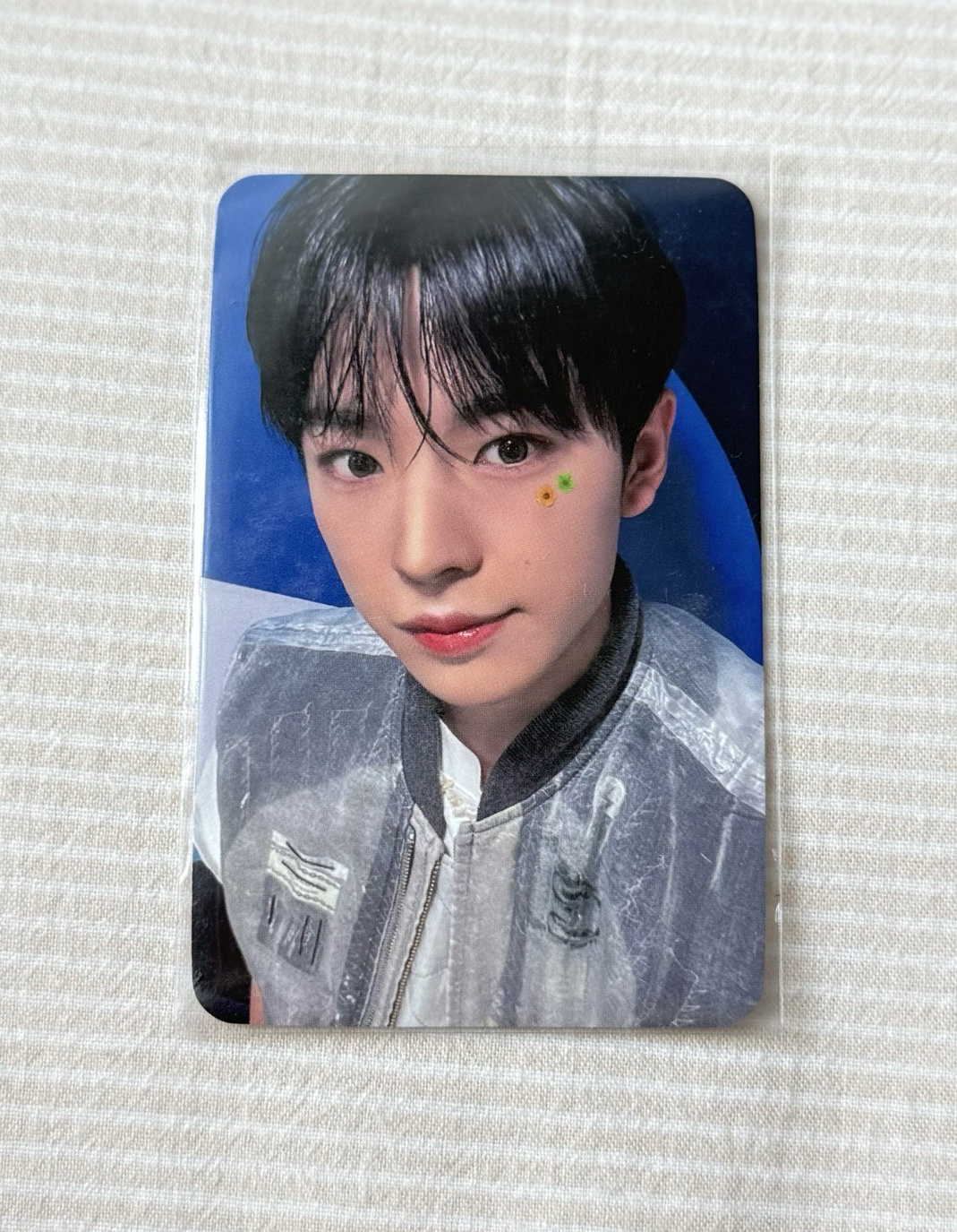 songbird 幸運卡 yushi