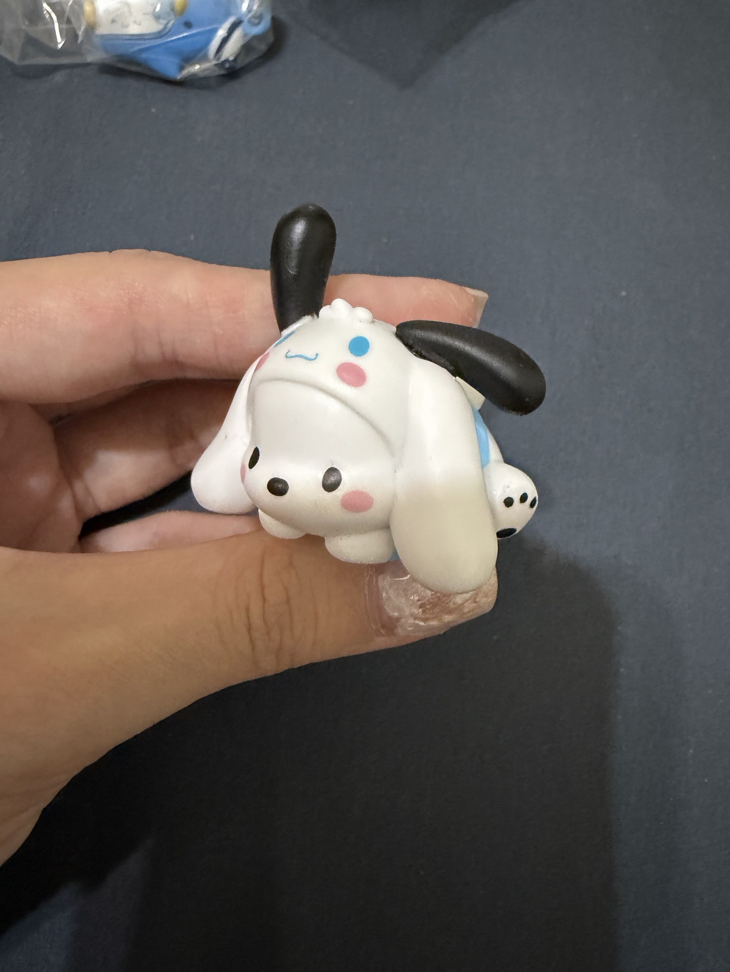 大耳狗帕恰狗