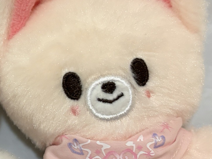 狐狸🦊