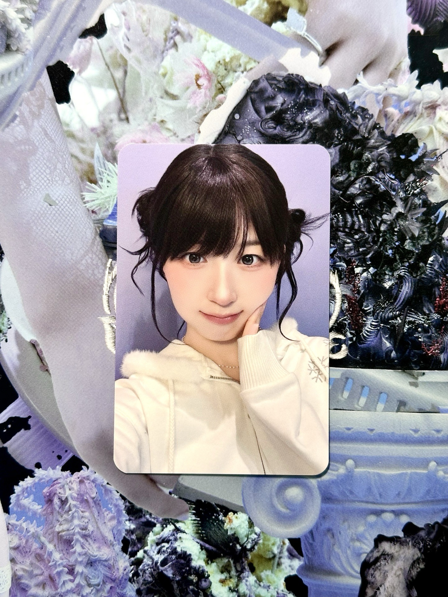 𝗽𝘂𝗰𝗰𝗮嫄