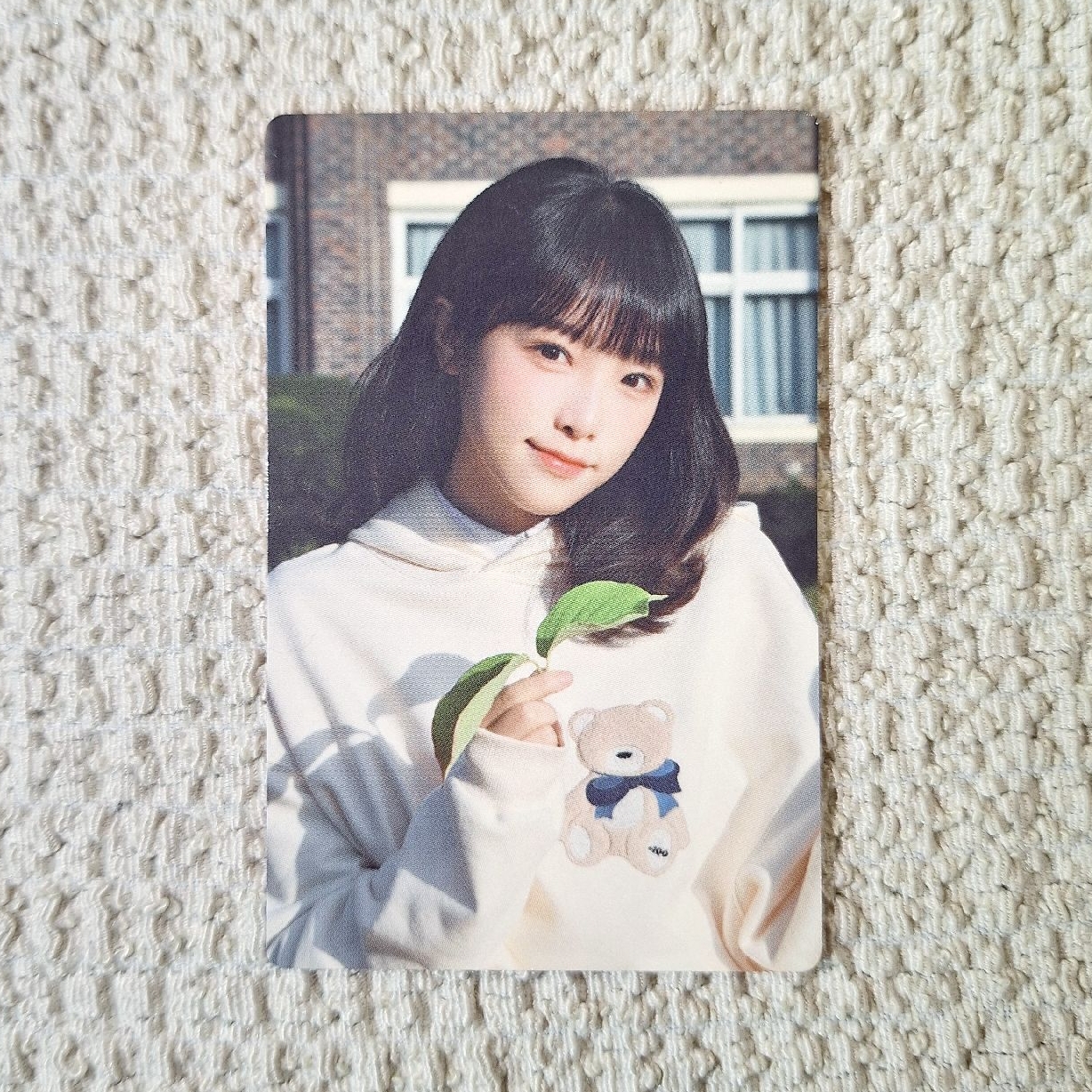 YENA｜少女的世界2 衛衣AR卡