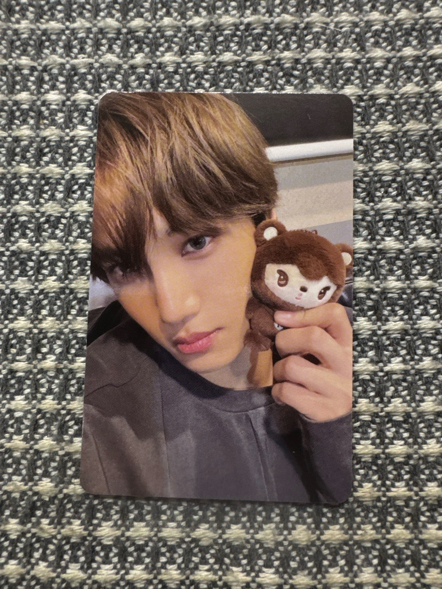 🐻自拍（不單出需帶官拍x1）