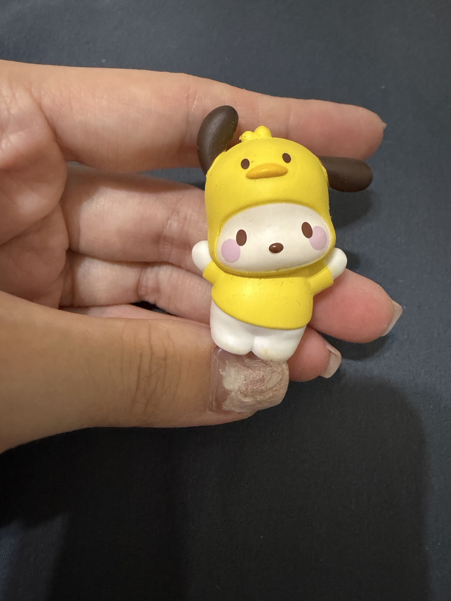 小雞裝扮