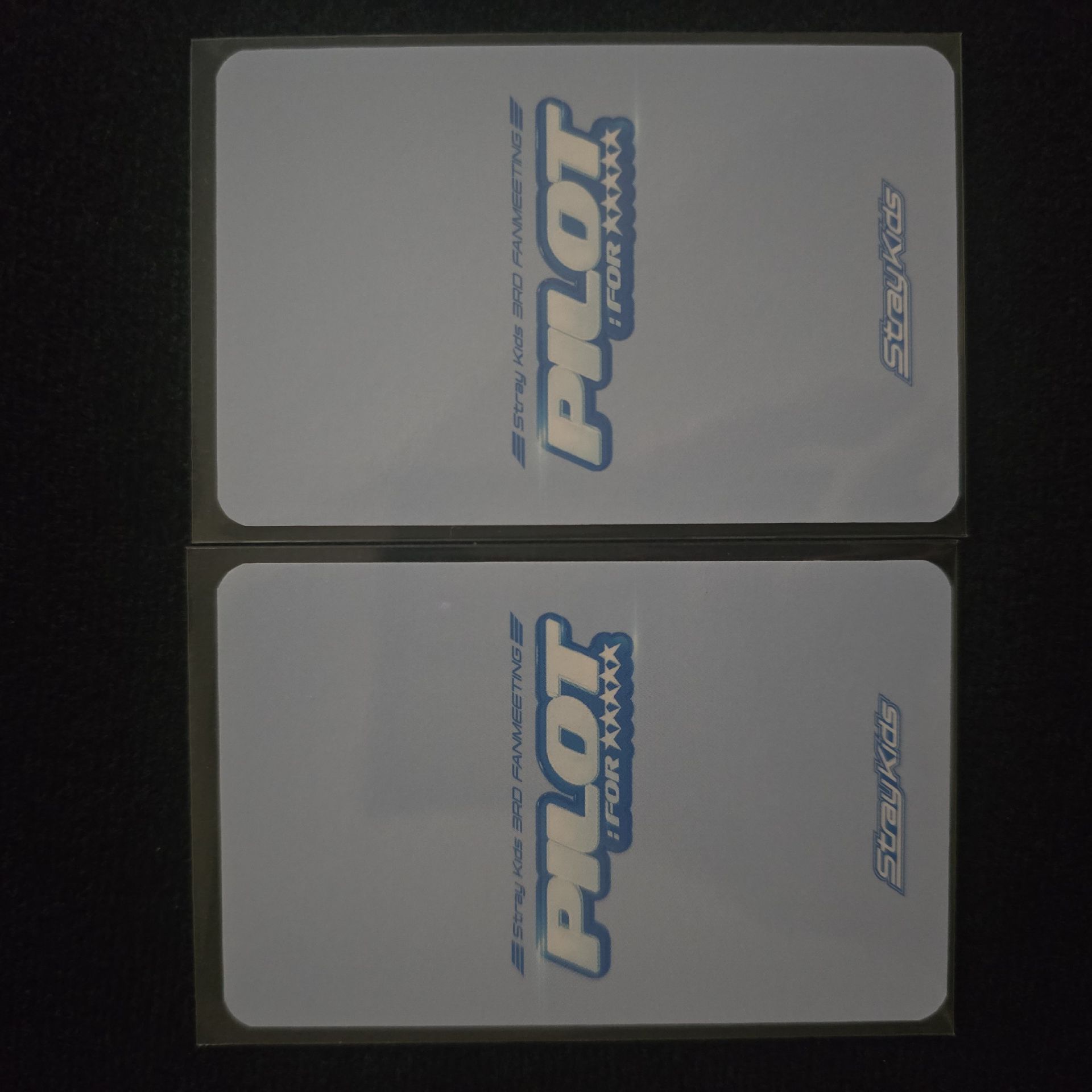 Stray Kids 3rd FM PILOT滿額卡🐶昇玟