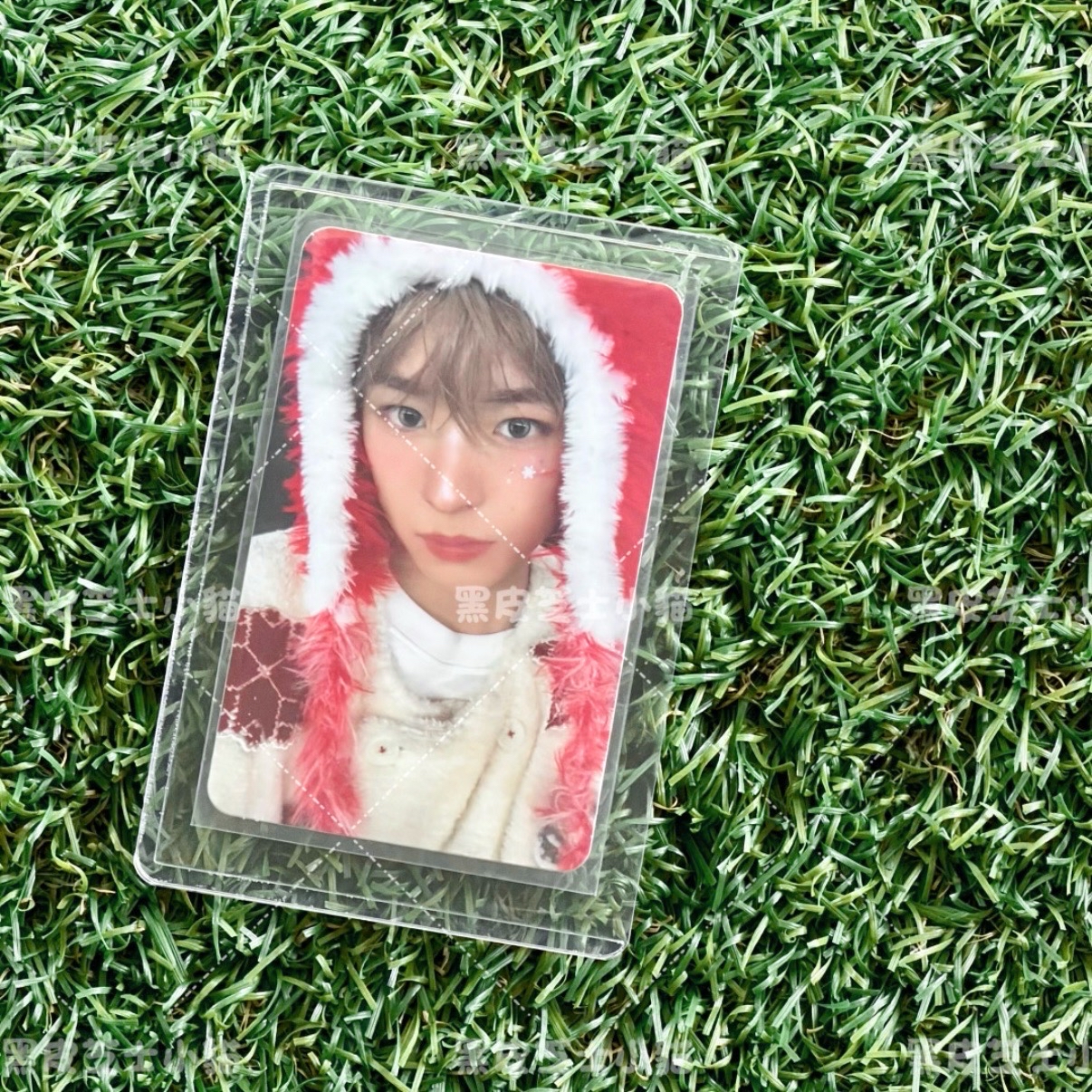 TT勇志 草莓大福勇志 初回限定全專【現貨】