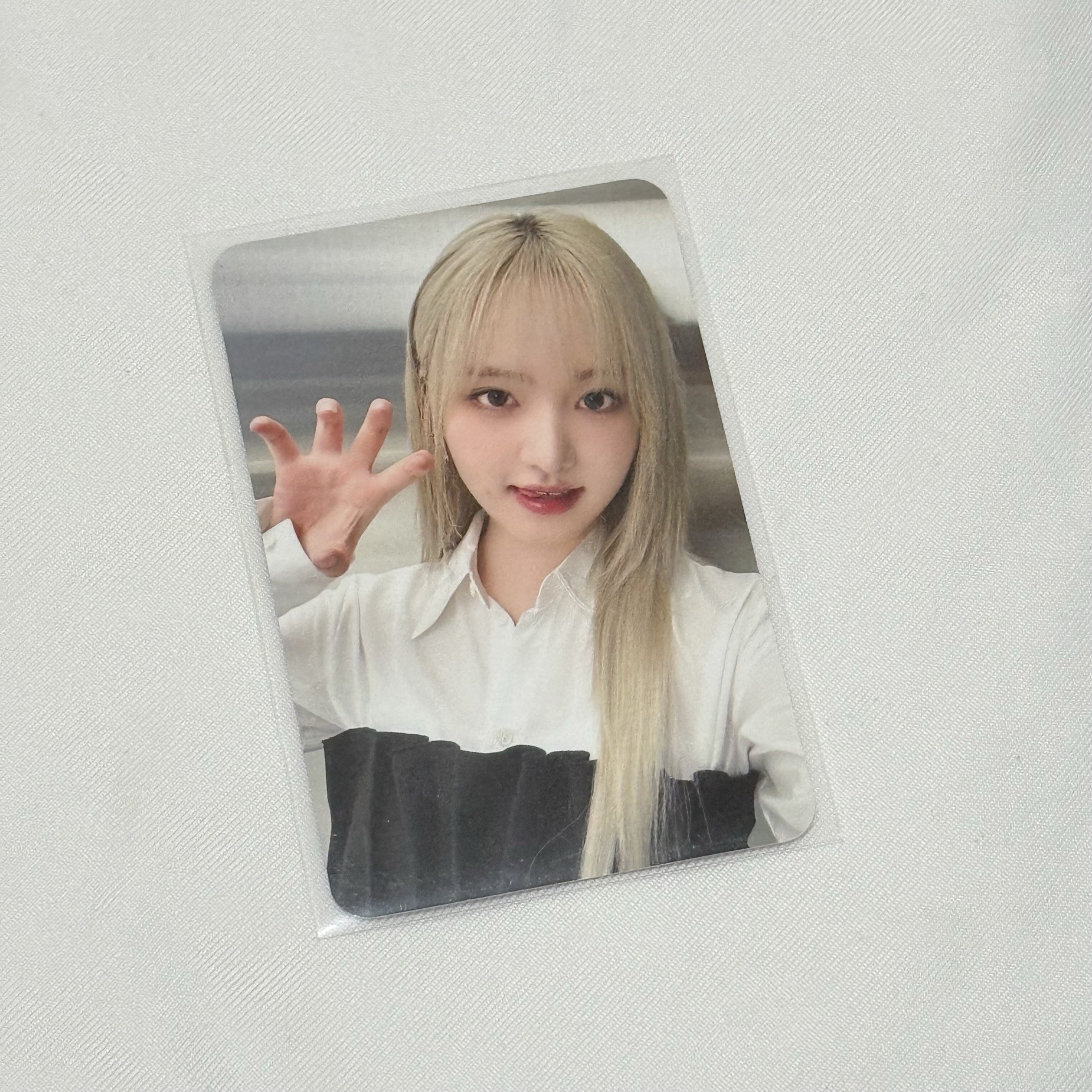 SHOW WHAT I HAVE隨機卡貓爪栗