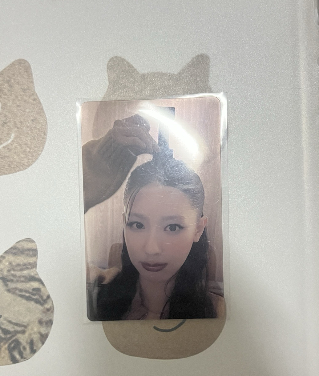 we are wvs 特典透卡